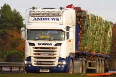 Andrews Scania R580 Super loaded with Christmas Trees