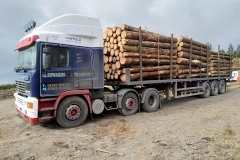 M-Edwards-Transport-Timber-truck-loaded