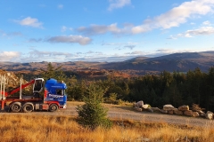 Thompsons Scania with Timber trailer with scenic view