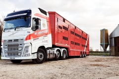 W.-Gibson-and-Son-Volvo-with-animal-trailer